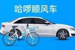 【教程经验】果洛咨询热线招聘网_哔哩哔哩-3